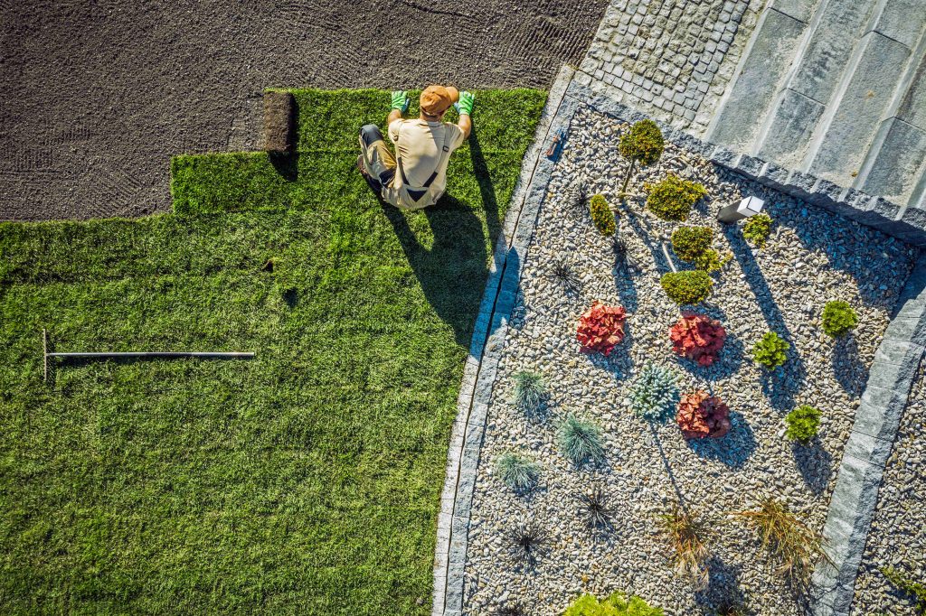 Cost Saving Landscaping Tips